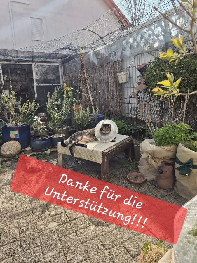 Průběžný stav – děkovný snímek majitelky