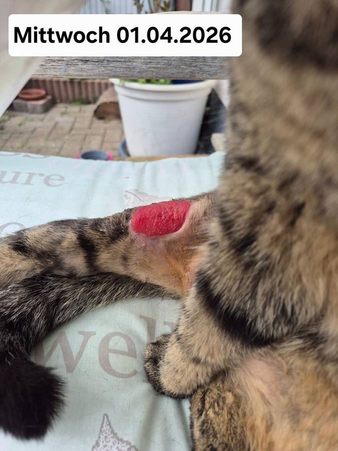 01.04.2026 – Detailansicht
